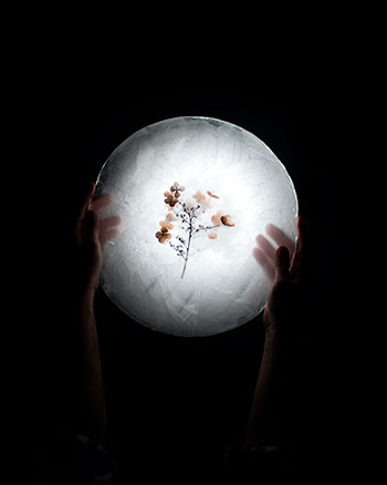 hands holding a circle