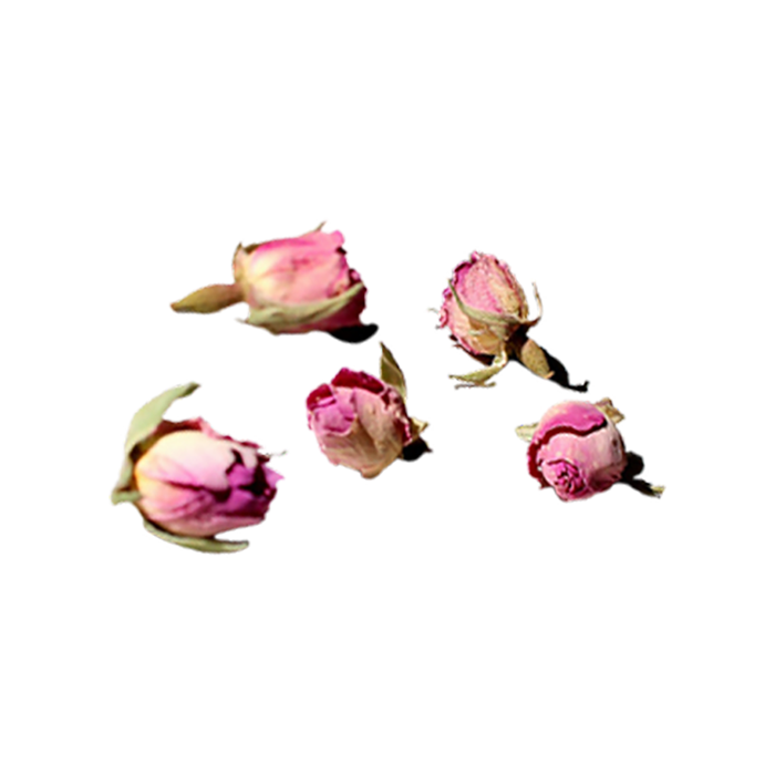 scattered rosebuds