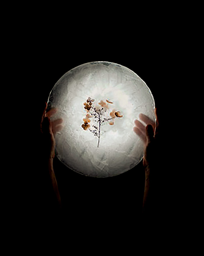 hands holding a bright circle that encloses small flowers