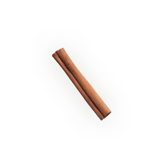a single cinnamon stick