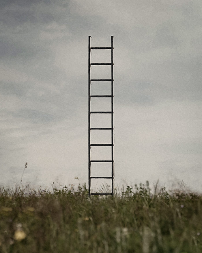a ladder stands in a grass field symbolizing climbing the corporate ladder for the job promotion spell