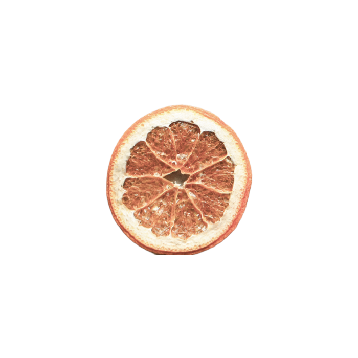 single dried orange slice