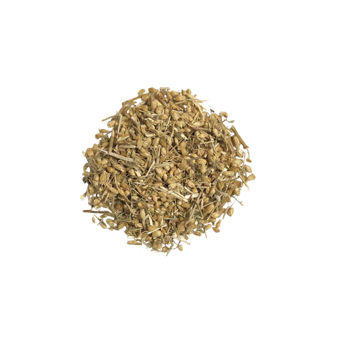 small pile of dried yarrow flower