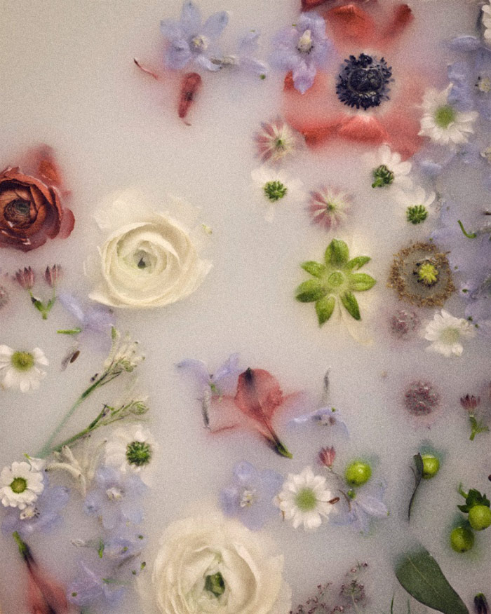 various flowers float in beauty bath water